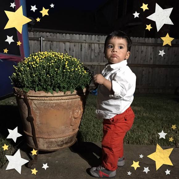 Meet your Posher, Bianca - Picture 1 of 1